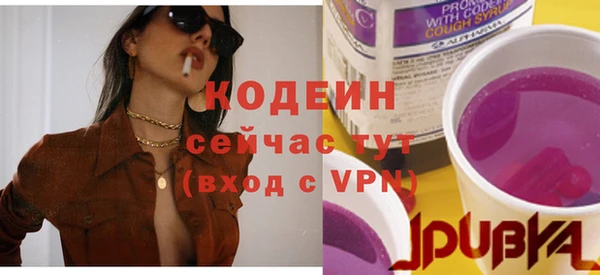 крисы Дмитриев