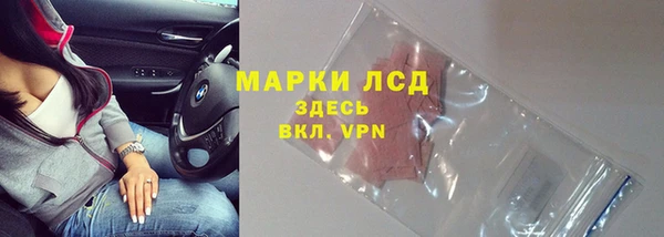 крисы Дмитриев