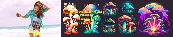 крисы Дмитриев