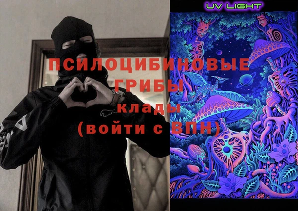 хмурый Дмитровск