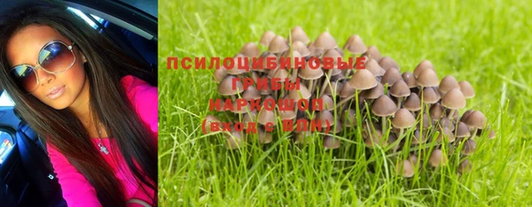 дурь Дмитров