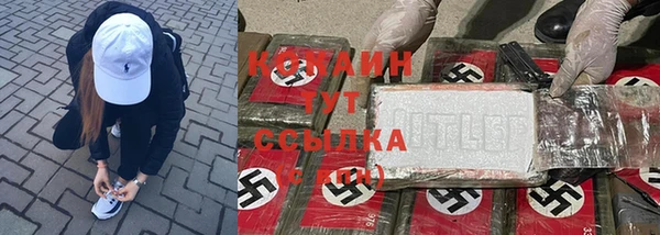 хмурый Дмитровск
