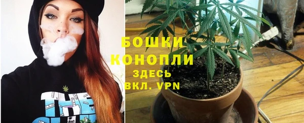 дурь Дмитров