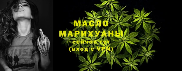 хмурый Дмитровск