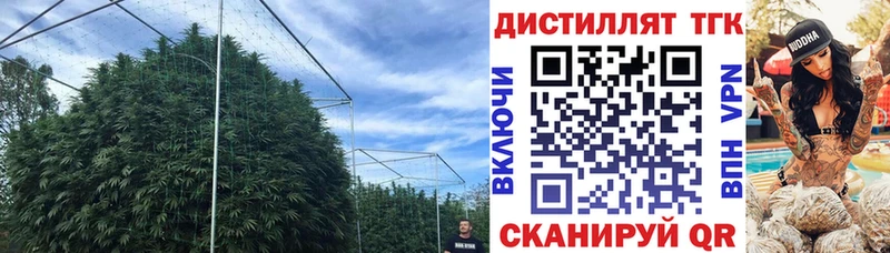 ТГК концентрат  Купить  Петров Вал 
