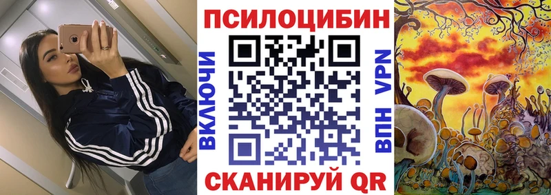 Псилоцибиновые грибы мухоморы  Купить где  Петров Вал 